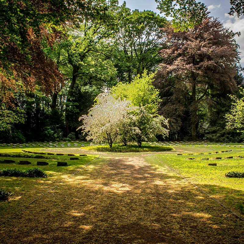 gallery grid image
